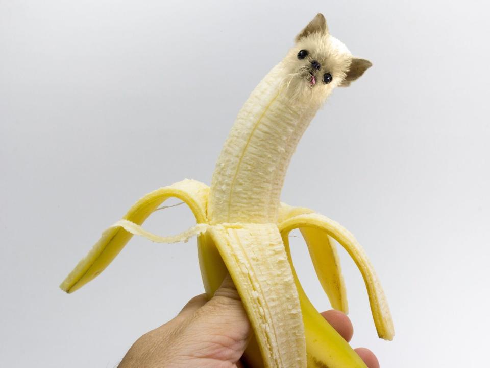 dogs in food banana