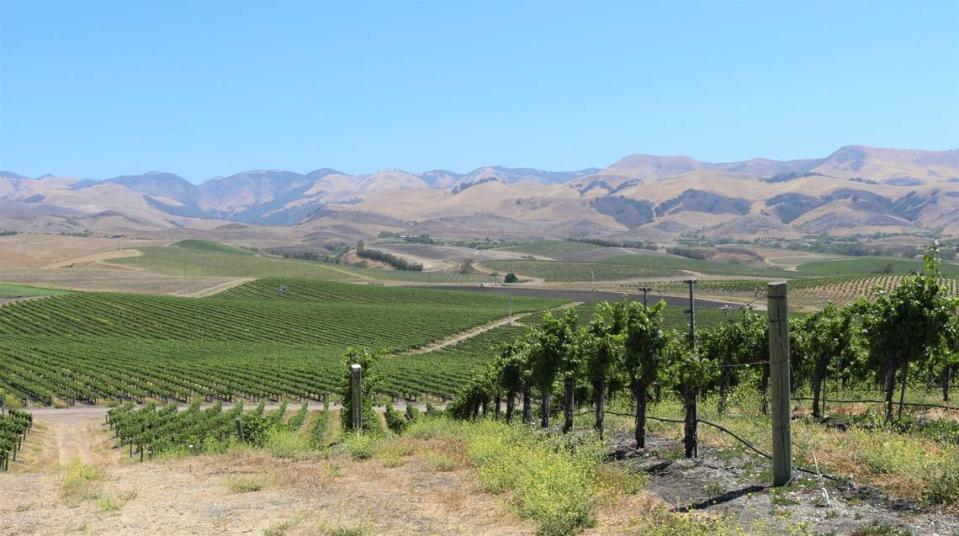 A view of Edna Valley from Tolosa Winery’s vineyards in June 2022.