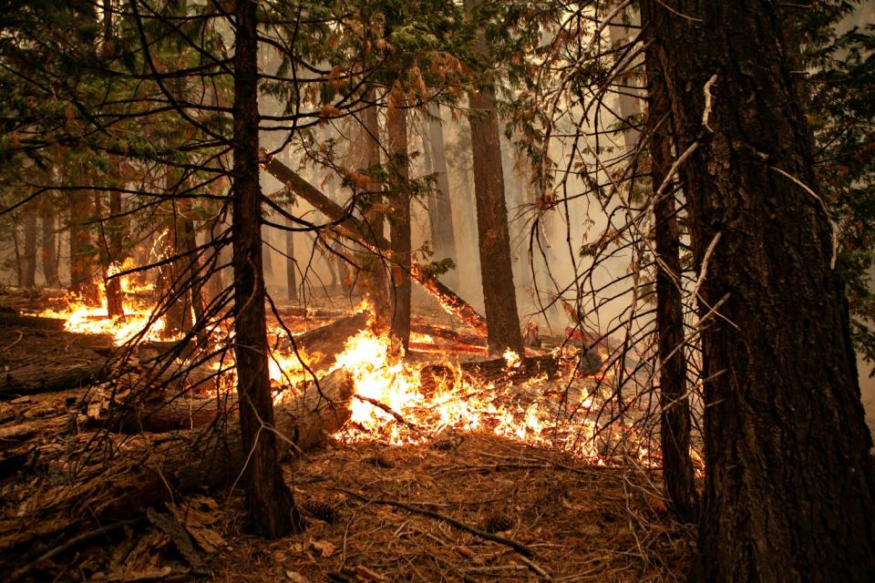 Spot fires continue flaring up along Highway 50 as firefighters continue to tackle the Caldor fire