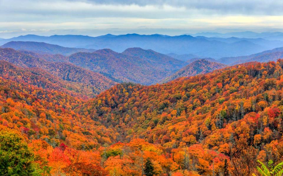 Great Smoky Mountains Railroad: North Carolina