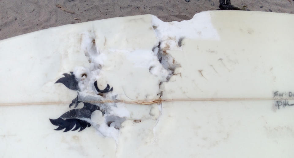 A surfboard at Bribie Island with what appear sto be bite marks taken out of it.