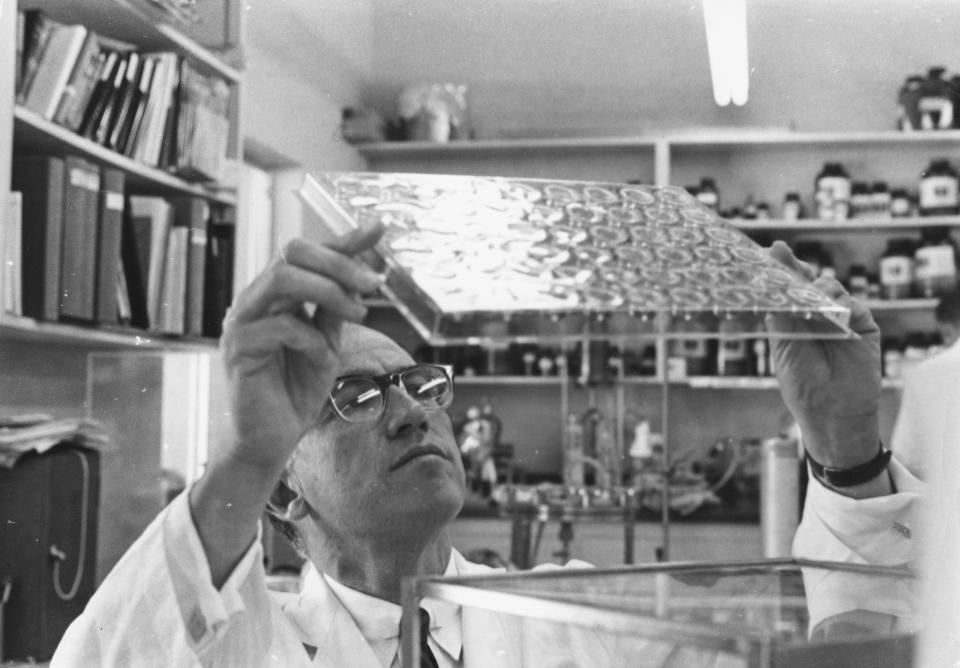 Medical researcher Dr. Jonas Salk studying slides in his laboratory, following the invention of his pioneering polio vaccine, circa 1957.