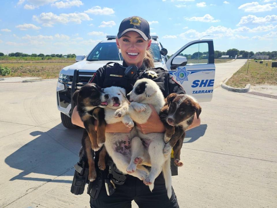 A member of the Tarrant County Sheriff’s Office pictured holding several puppies who were abandoned in a heat wave with no water. All eight puppies have since been adopted (Tarrant County Sheriff’s Office)