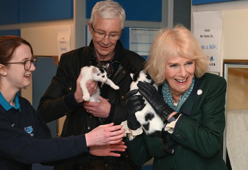 The Duchess of Cornwall (right) laughs as a cat pulls her hair, with Battersea Ambassador Paul O’Grady during her visit to the Battersea Dogs and Cats Home centre in Brands Hatch, Kent (Stuart Wilson/PA) (PA Wire)