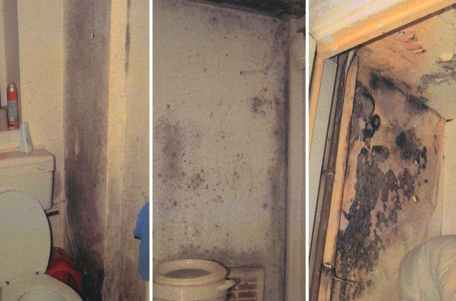 awaab-ishak-inside-home-covered-in-mould-where-toddler-died