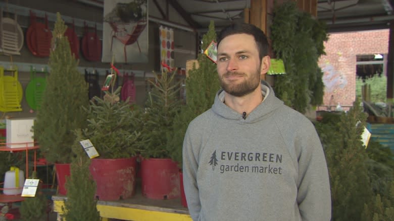 Now you can have a forever Christmas tree by choosing a 'live tree' in a pot