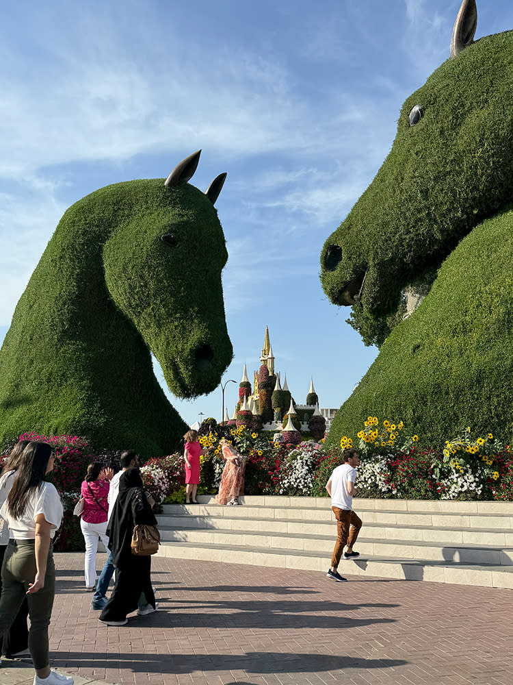 杜拜旅遊｜杜拜3大超浮誇打卡景點 全球最美博物館之一未來博物館/全鍍金杜拜相框/沙漠種1.5億朵花