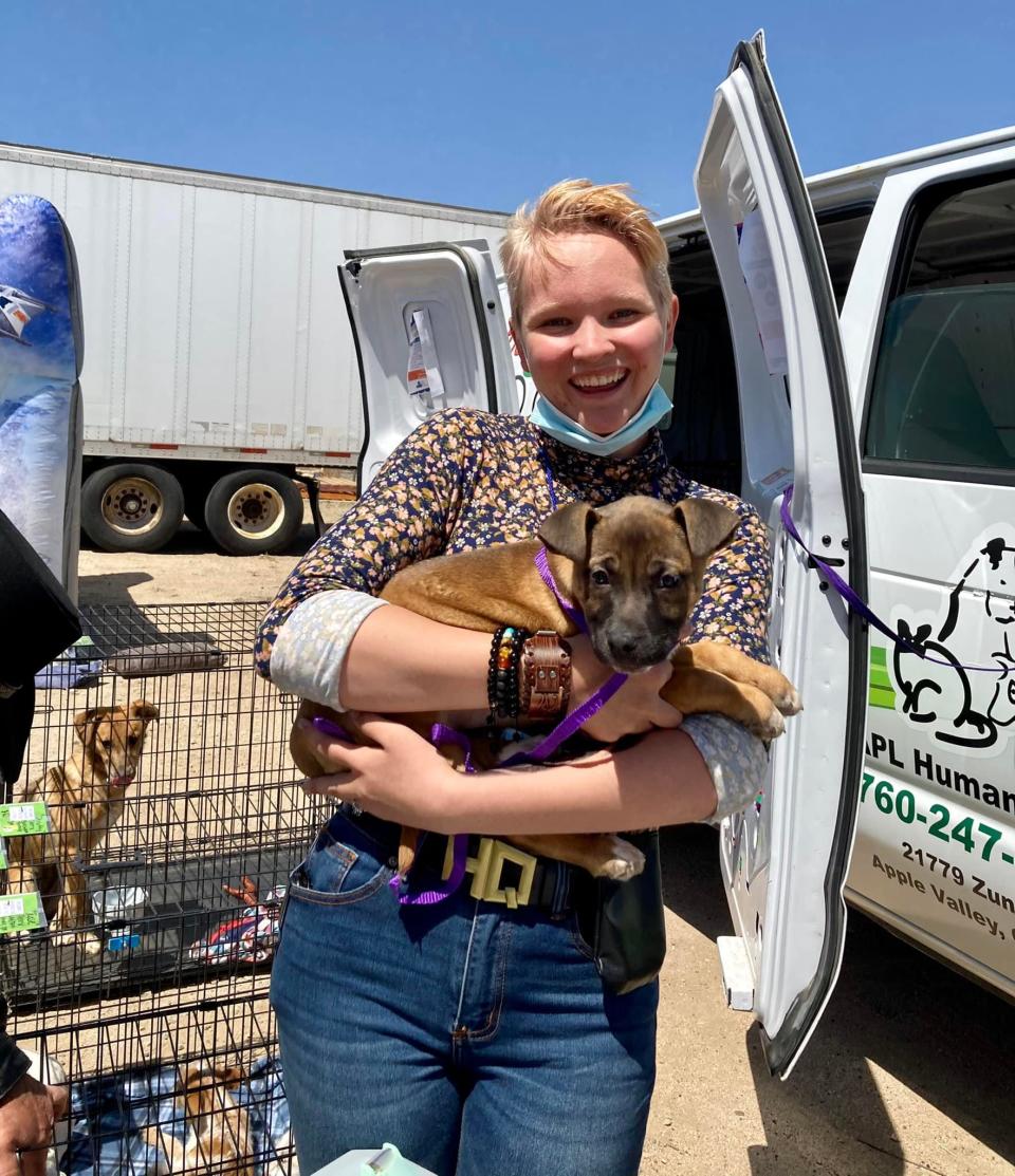 The Victor Valley Animal Protective League Board of Directors announced that its decades-old shelter in Apple Valley will temporarily cease operations at the end of the month.
