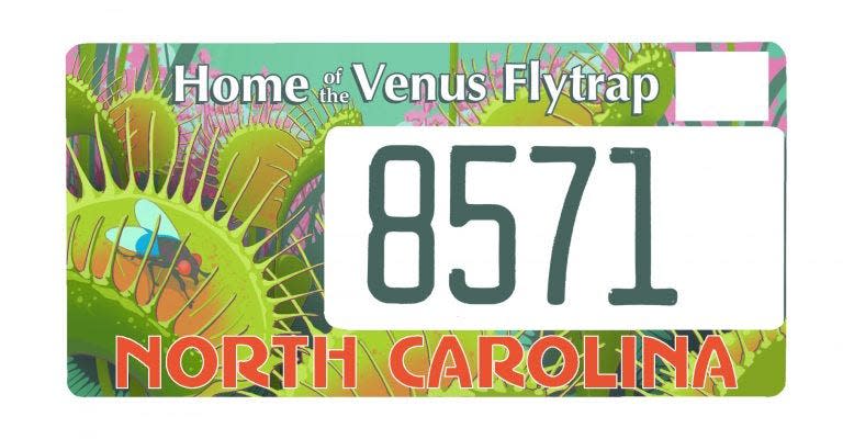 Flytrap supporters now have the option for putting the carnivorous plant on their car, with proceeds from the specialty license plate going to conservation, education and outreach efforts.