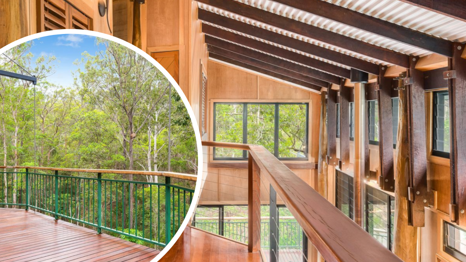 Pictured: Queensland house with treetop theme for sale on realestate.com.au. Images: Belle Property