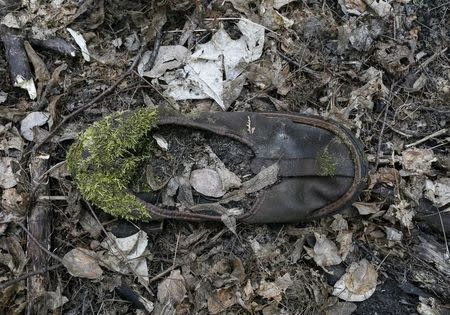 Moss is seen growing on a child's slipper in the ghost town of Pripyat which was evacuated after an explosion at the Chernobyl nuclear power plant, Ukraine April 18, 2016. REUTERS/Gleb Garanich