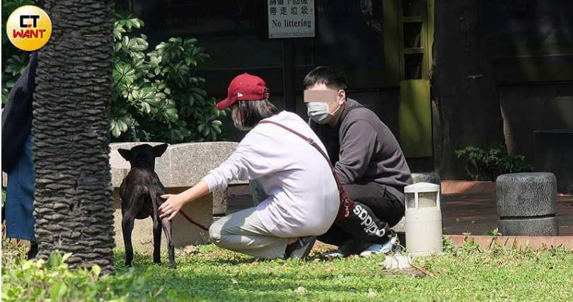 隔天中午，米可白帶著弟弟到公園，將牠交付給新主人。（圖／本刊攝影組）