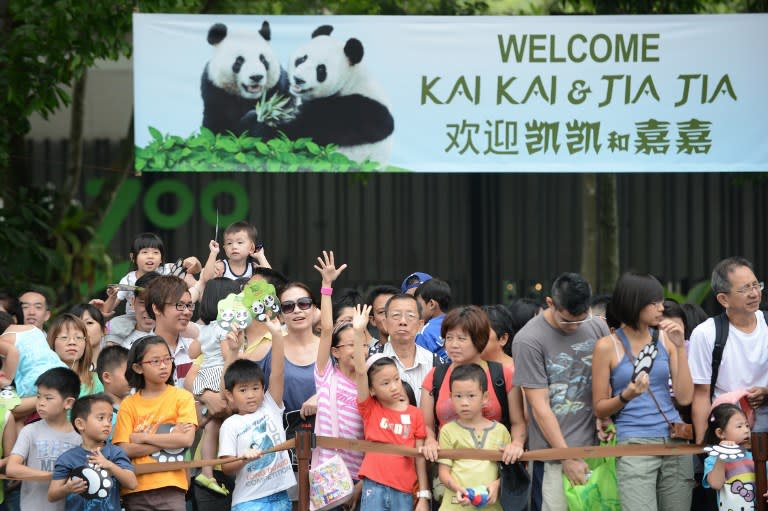 Pandas - Jia Jia and Kai Kai