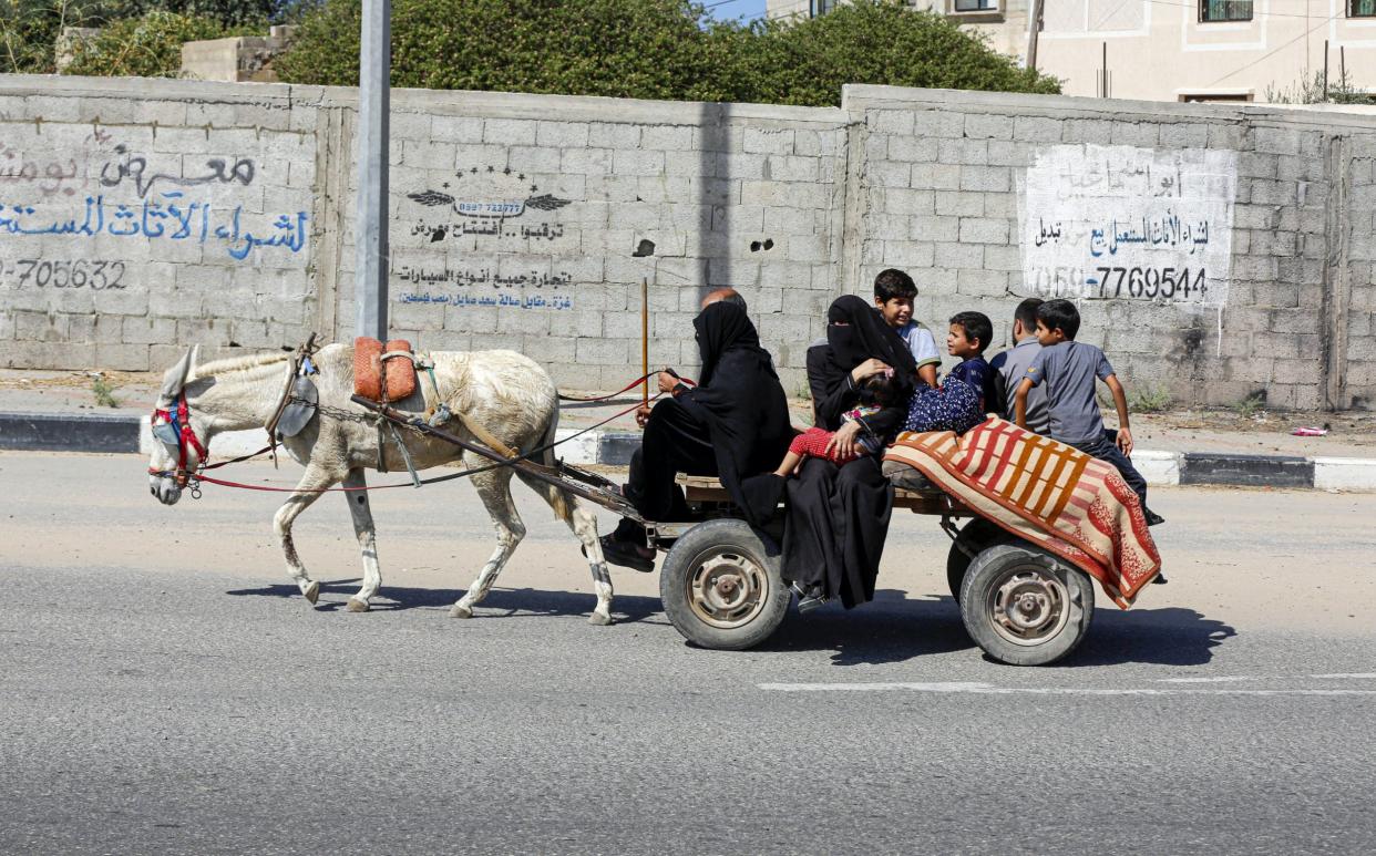 Citizens of Gaza are on their way to leave the city to the southern safer parts by whatever vehicles they can find