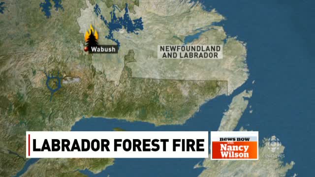 Labrador forest fires