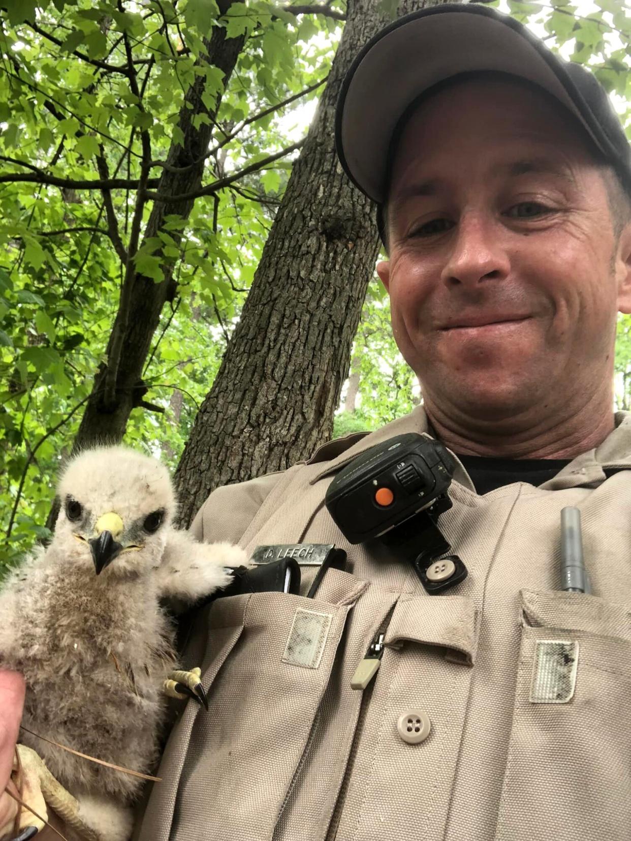 Baby Hawk with Officer Leech