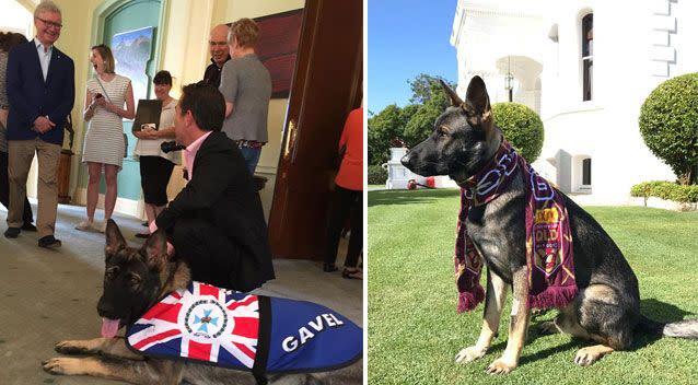 The pup is now a greeter at Government House. Source: Facebook