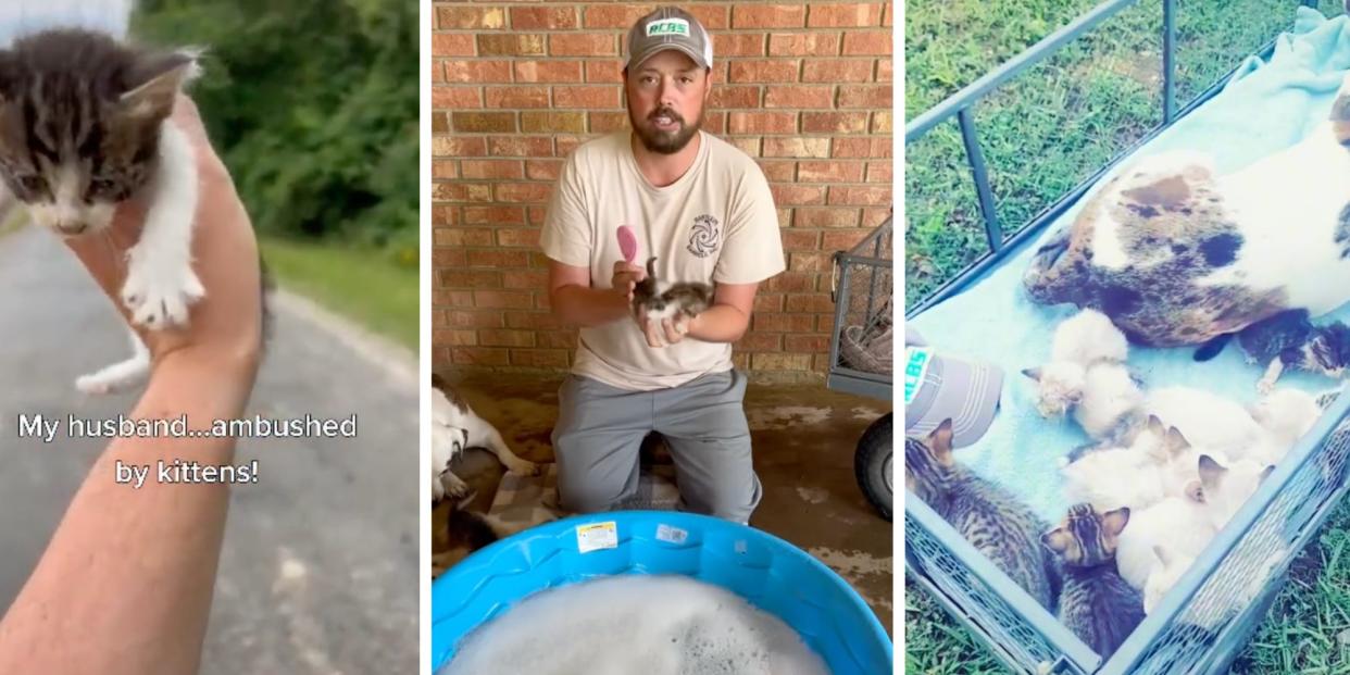 Screenshots of the kittens and Robert Brantley holding one of the kittens.