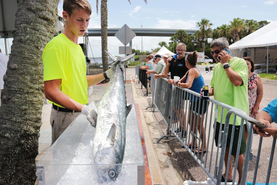 Preston Stine, a tournament volunteer, places the winning kingfish in ice from the 2021 Junior Angler tournament.