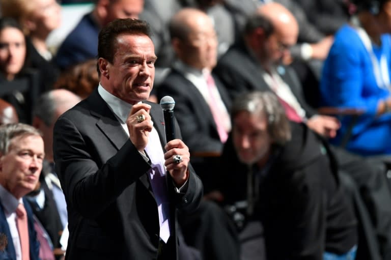 Former California governor and actor Arnold Schwarzenegger attended the climate summit in Paris