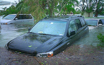 Hurricane Wilma1