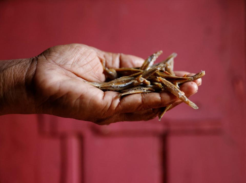 Nilanthi Gunasekera with a handful of dried fish, the only protein her family will have until next week (Reuters)