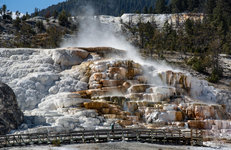 Mammoth Hot Springs en Yellowstone.  (Photo by George Rose/Getty Images)