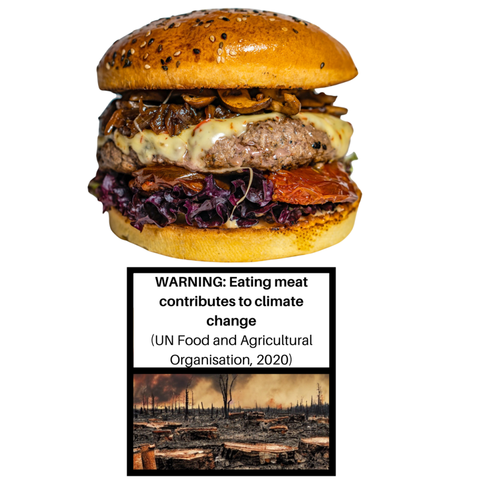 One of the cigarette pack-style warning labels suggested for meat-based meals (Durham University)