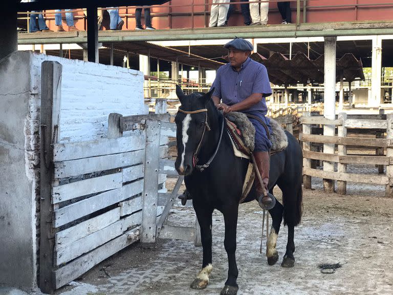 Desde los 10 años que el ahora capataz Freddy Cáceres trabaja en el Mercado de Liniers