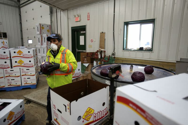 FILE PHOTO: Migrant workers wear masks and practice social distancing in Portage la Prairie