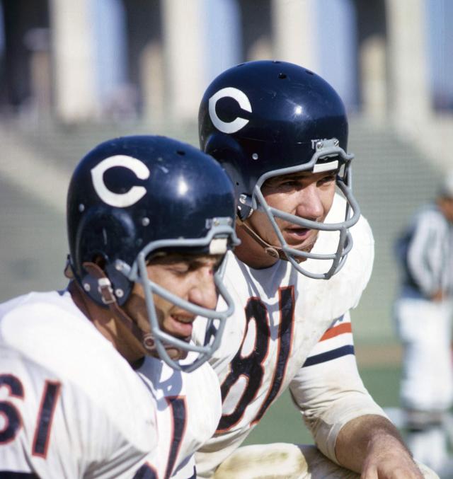 bears away uniform