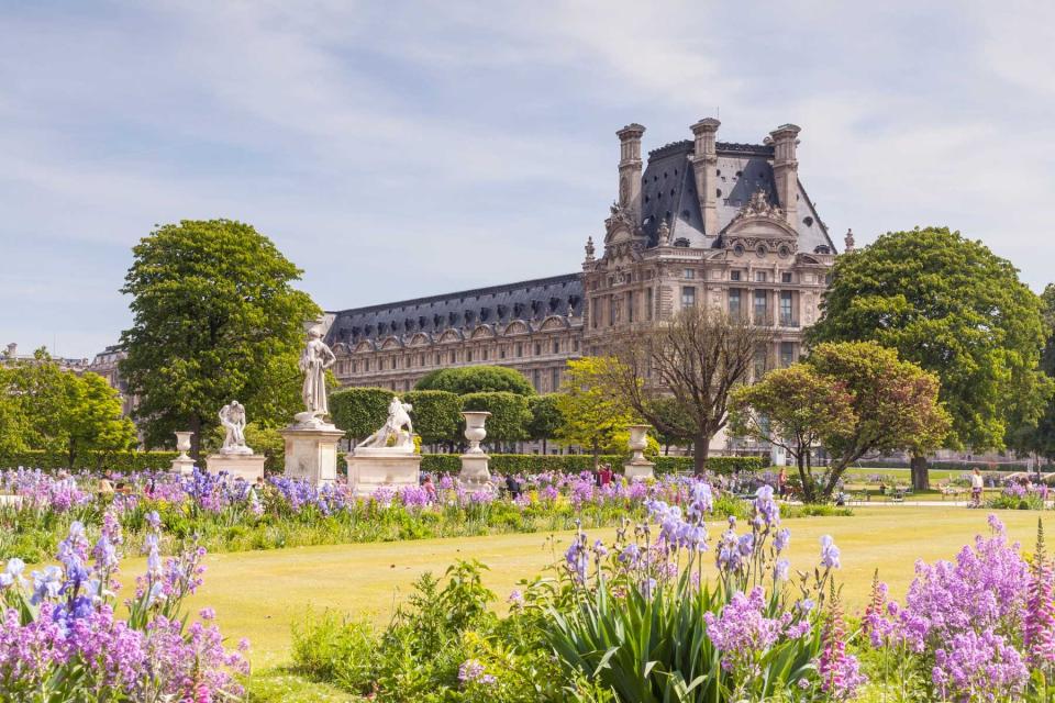 Jardin des Tuileries and the Louvre Museum, Paris.