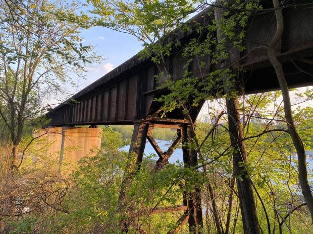 A group of east-enders says a tucked-away section of track could become a big tourist draw, and a way for Torontonians to understand their city's history.  (Kate McGillivray/CBC - image credit)