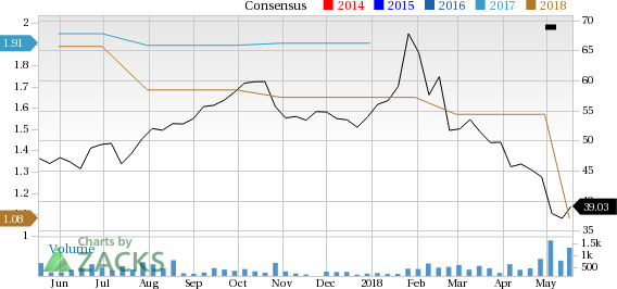 Anika Therapeutics (ANIK) has witnessed a significant price decline in the past four weeks, and has seen negative earnings estimate revisions for the current quarter and year.