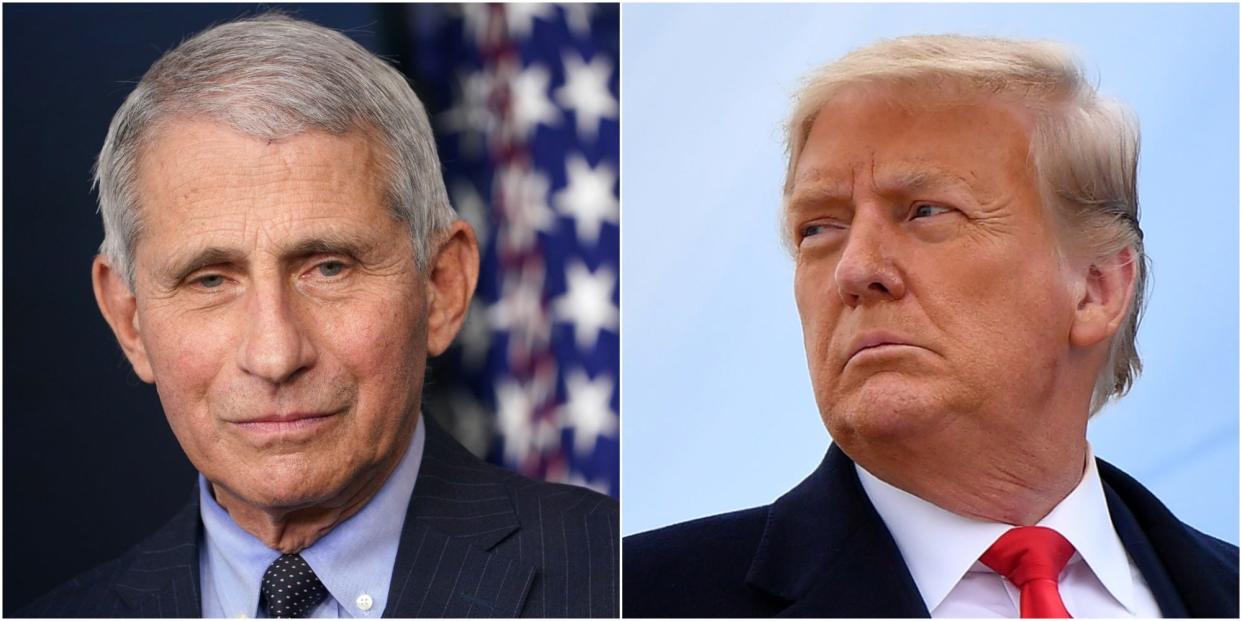 anthony fauci donald trump wide