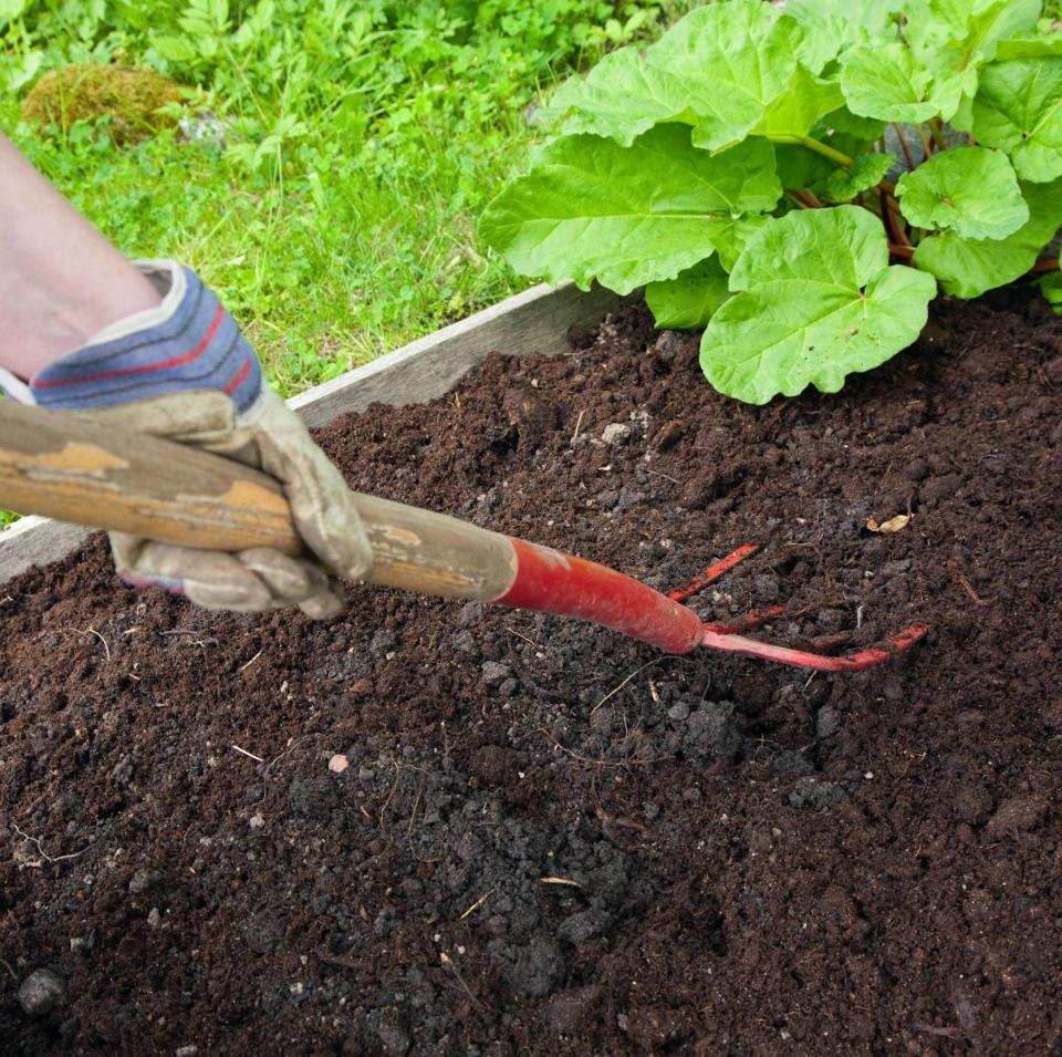 Preparing the soil in spring