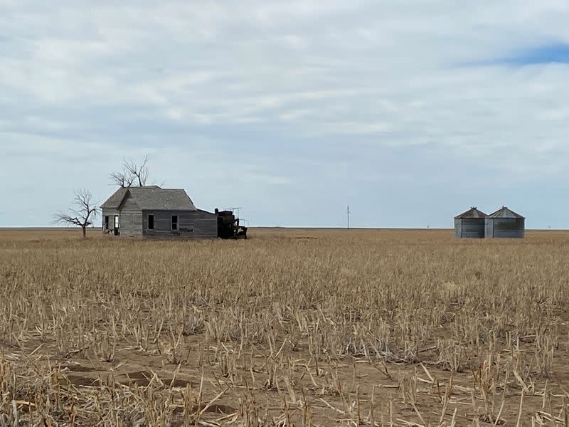 On Oklahoma plains, an island of near normality in U.S. sea of coronavirus