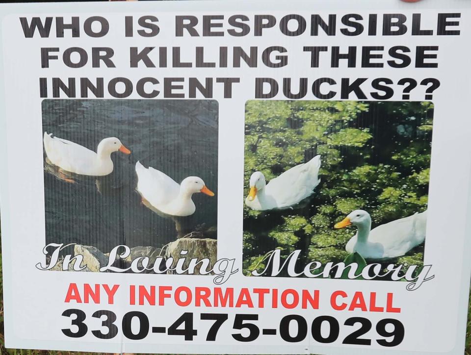 Angela Brown of Cuyahoga Falls had this sign made seeking information on the killing of two ducks.