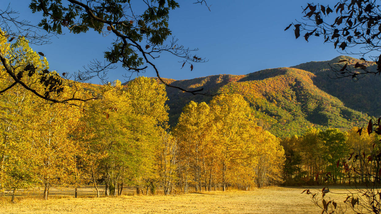 NaturalStock / Shutterstock.com