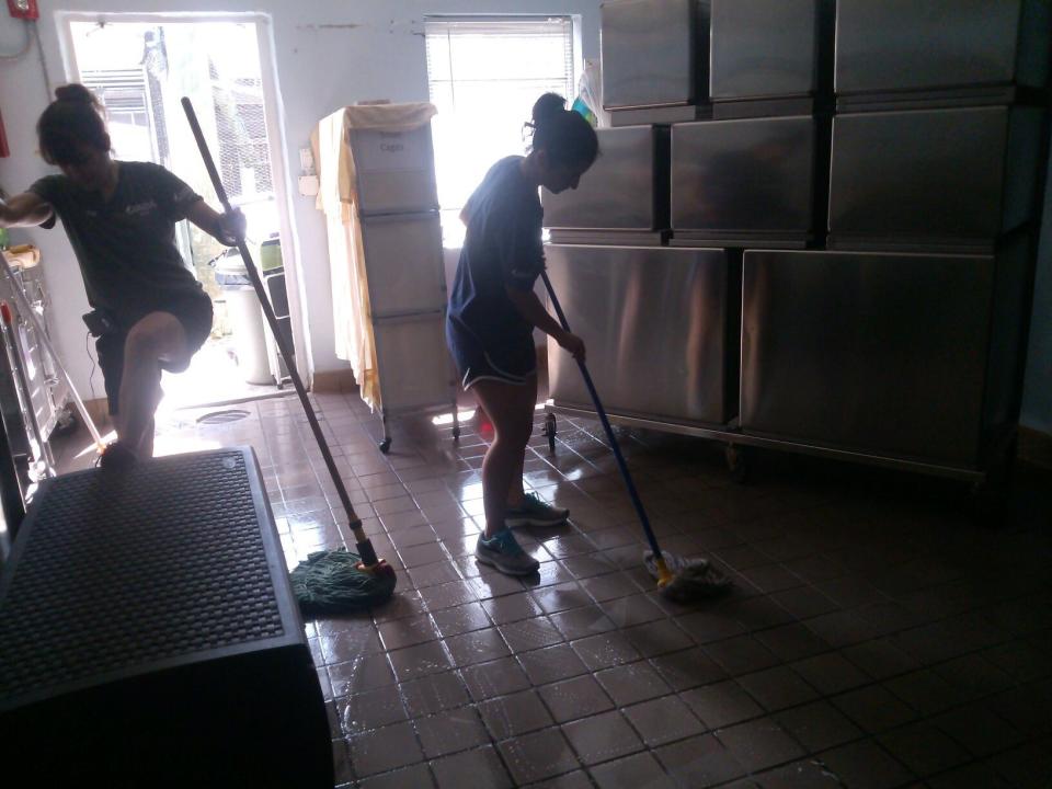 In addition to caring for the animals, the South Florida Wildlife Center staff pitched in to clean up after the storm. (Photo: humanesociety.org)