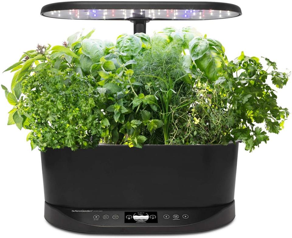 aerogarden review