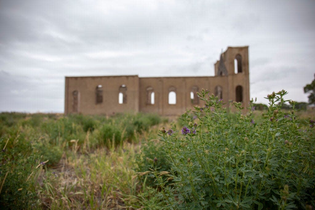 Alfalfa blooms in the fields next to the shell of the San Isidro Catholic Church, which burned in 1975.