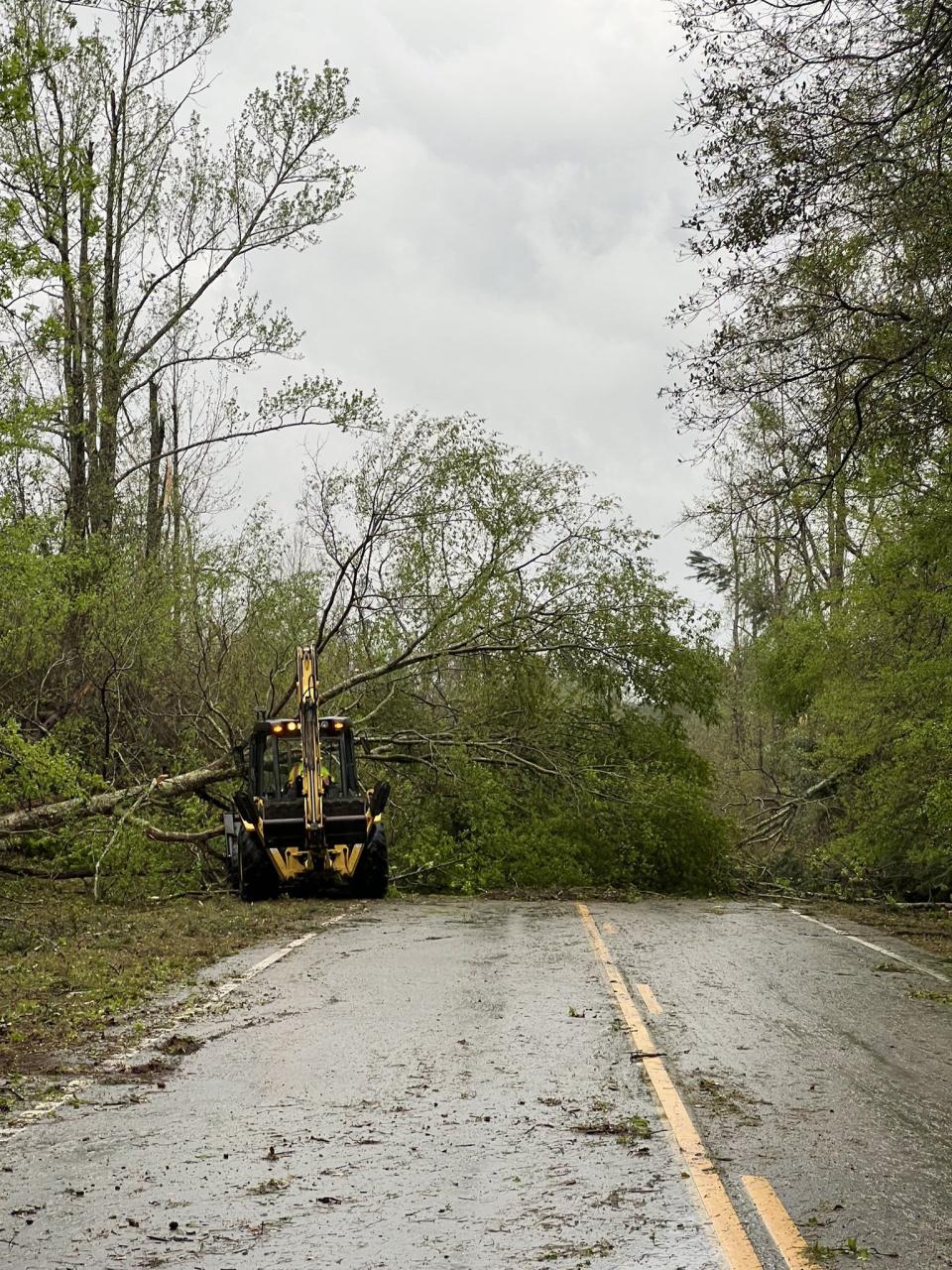 Storm damage in Allendale County.