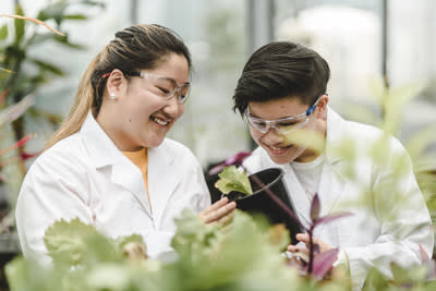 The Bachelor of Sustainability and Environment from the University of Technology Sydney can be combined with a degree in Business, Management, Science, Health, or Economics.