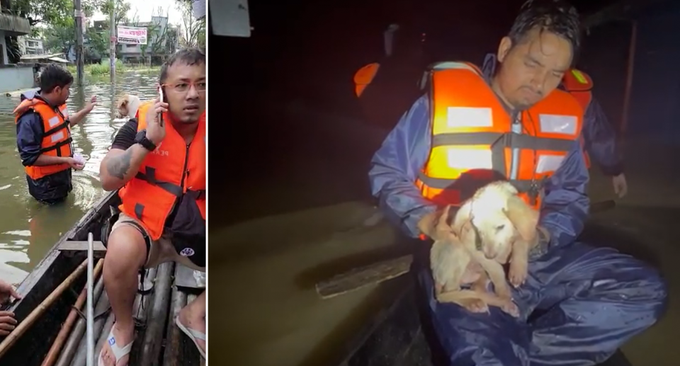 A rescuer from RobinHood travelled to Sylhet to join emergency workers assisting both animals and humans. Source: Supplied