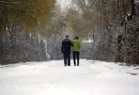 Fan Guohui (L) and his wife Zheng Qing walk in the snow after showing their son's resting place to reporters during their visit to the graveyard in Zhangjiakou, China, November 22, 2015. REUTERS/Kim Kyung-Hoon
