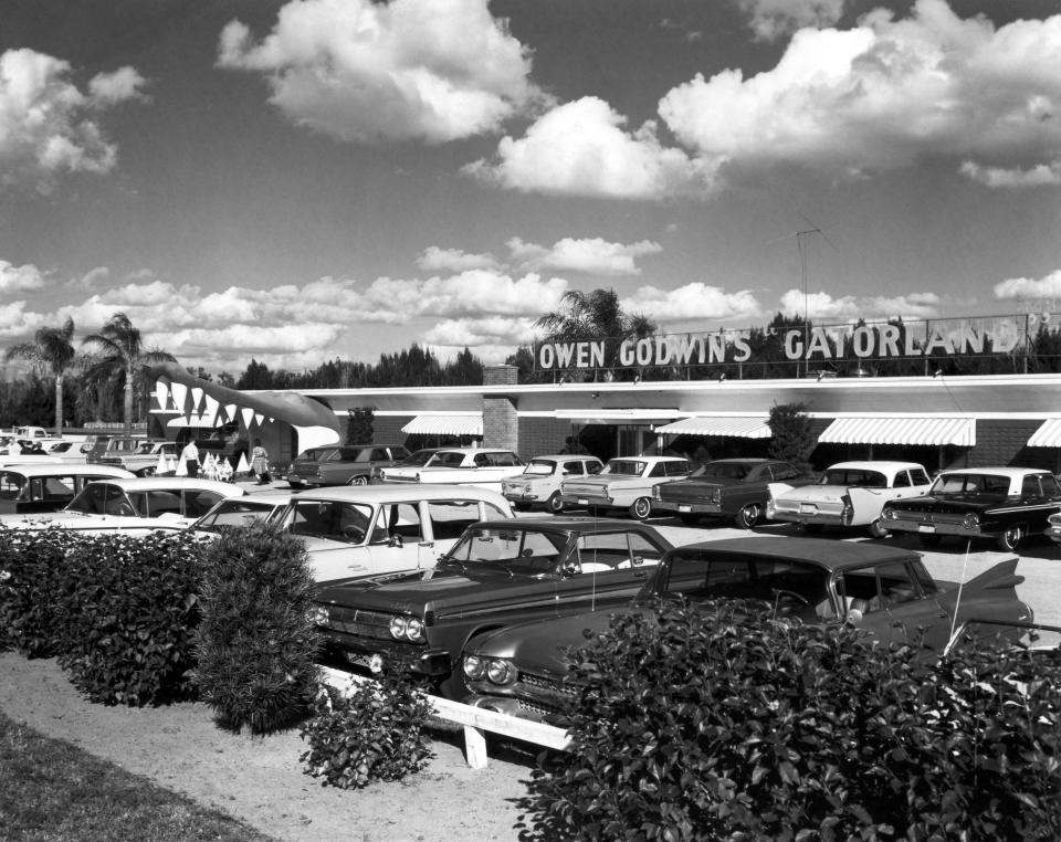 A photo of Gatorland, the oldest tourist attraction in central Florida, in 1963. In 2024, the park is celebrating both its 75 year anniversary and high attendance numbers.