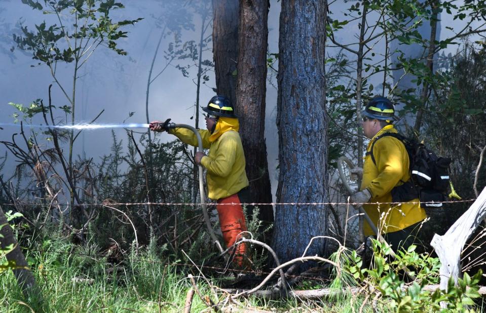 Efforts to control several wildfires on Maui have been hampered by erratic winds from Hurricane Dora (The Maui News)