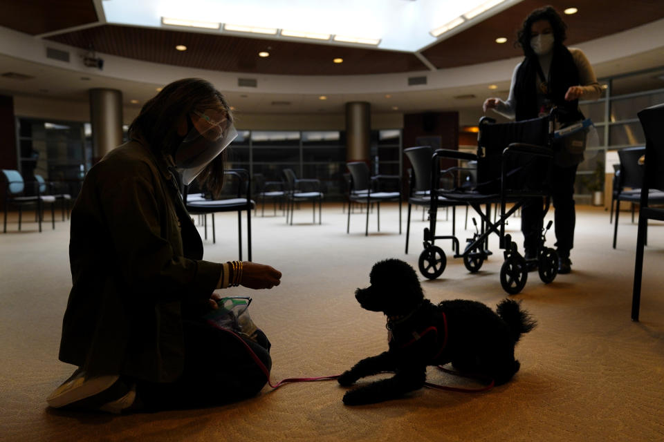 Owner Joy Solomon, left, and therapeutic activities staff member Olivia Cohen work with Redwood, a poodle, to accustom him to common nursing home sights, such as wheelchairs, at The Hebrew Home at Riverdale in New York, Wednesday, Dec. 9, 2020. New dog recruits are helping to expand the nursing home's pet therapy program, giving residents and staff physical comfort while human visitors are still restricted because of the pandemic. (AP Photo/Seth Wenig)