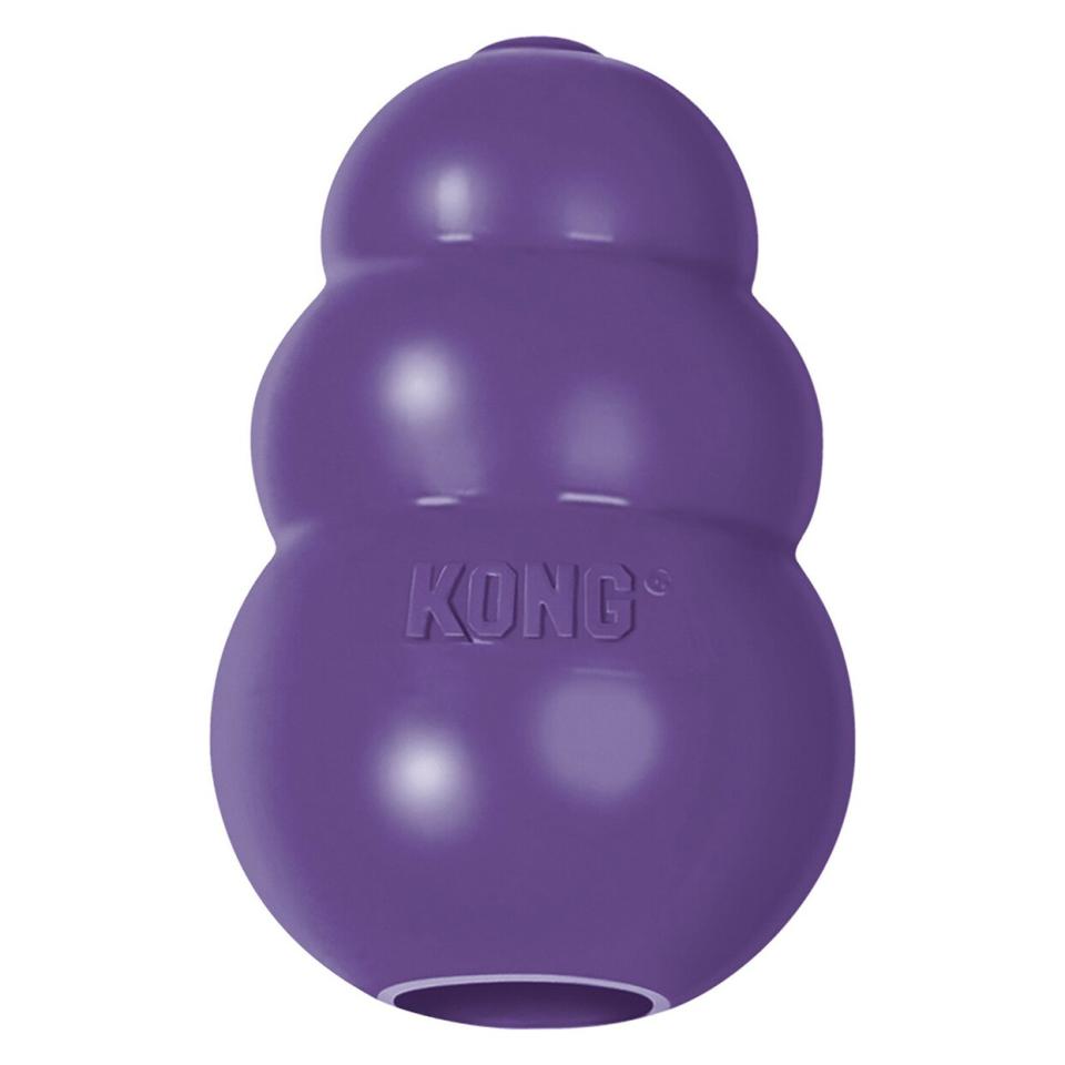 Purple Kong Senior Dog Toy on a white background